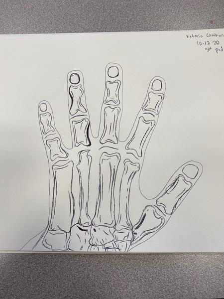 Sketchbook